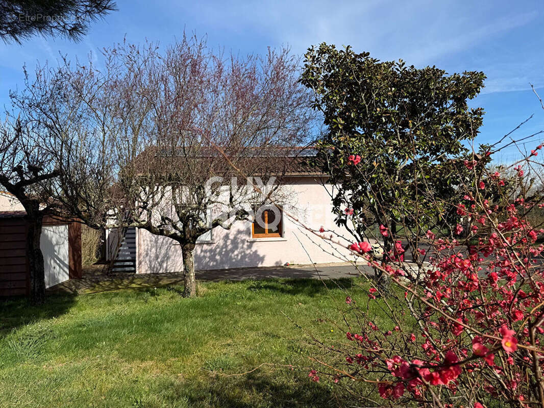 Maison à VILLEMUR-SUR-TARN