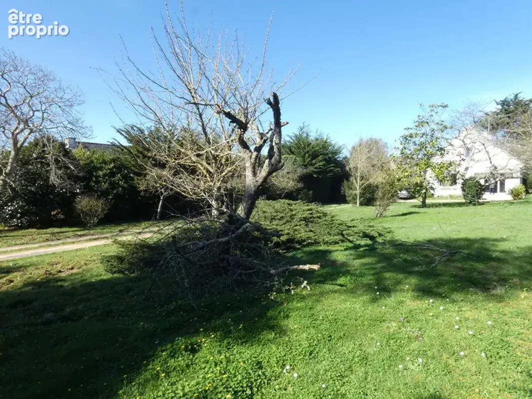 BELLE OPPORTUNITE FONCIERE ! Terrain constructible de près de 3 000m2 - photo 8