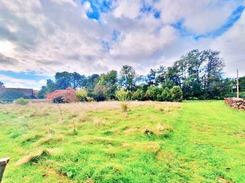 Terrain à PETITEFONTAINE