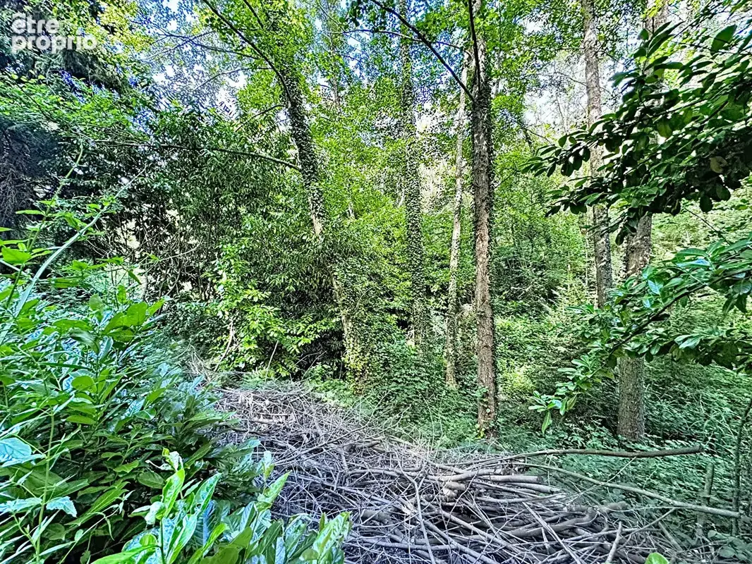 Exclusivite - cossesseville - terrain de loisirs - photo 14