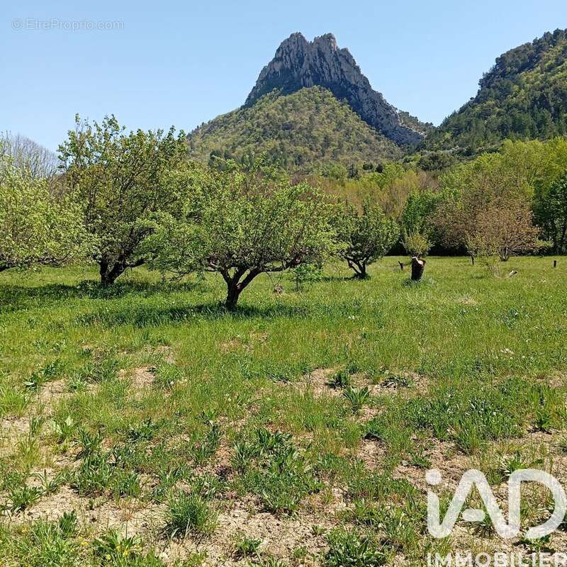 Photo 4 - Terrain à BUIS-LES-BARONNIES
