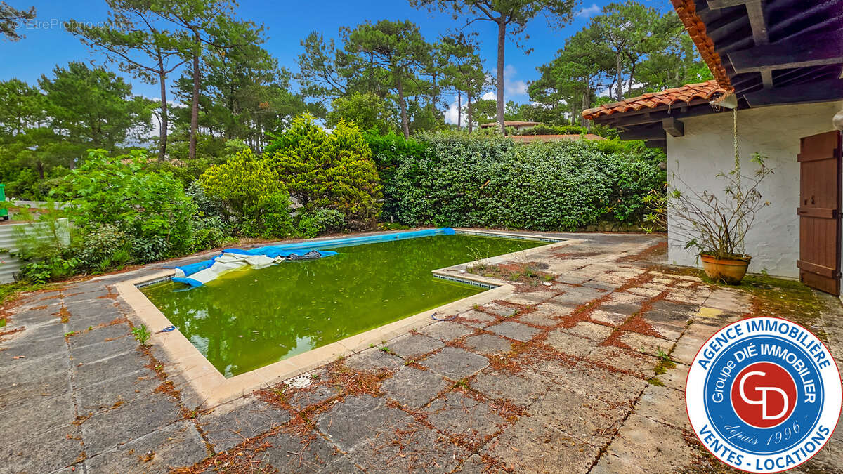 Maison à LE BOUSCAT