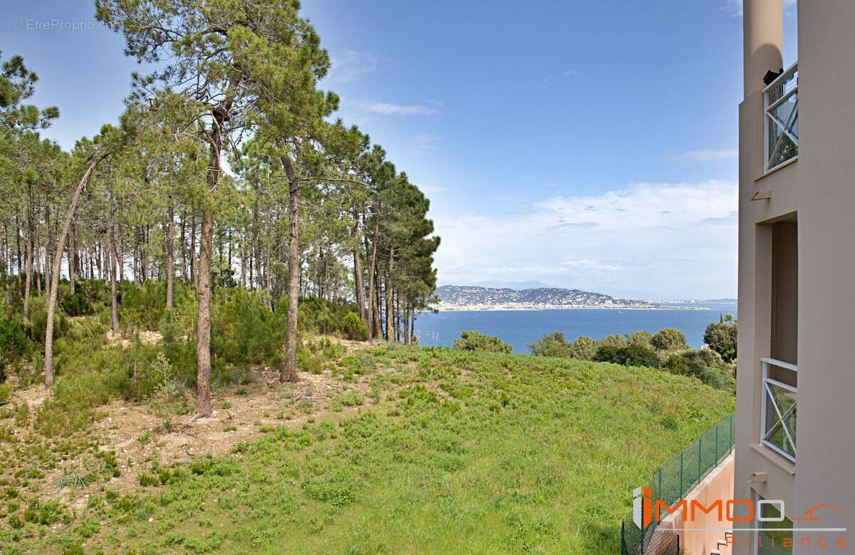 Appartement à THEOULE-SUR-MER