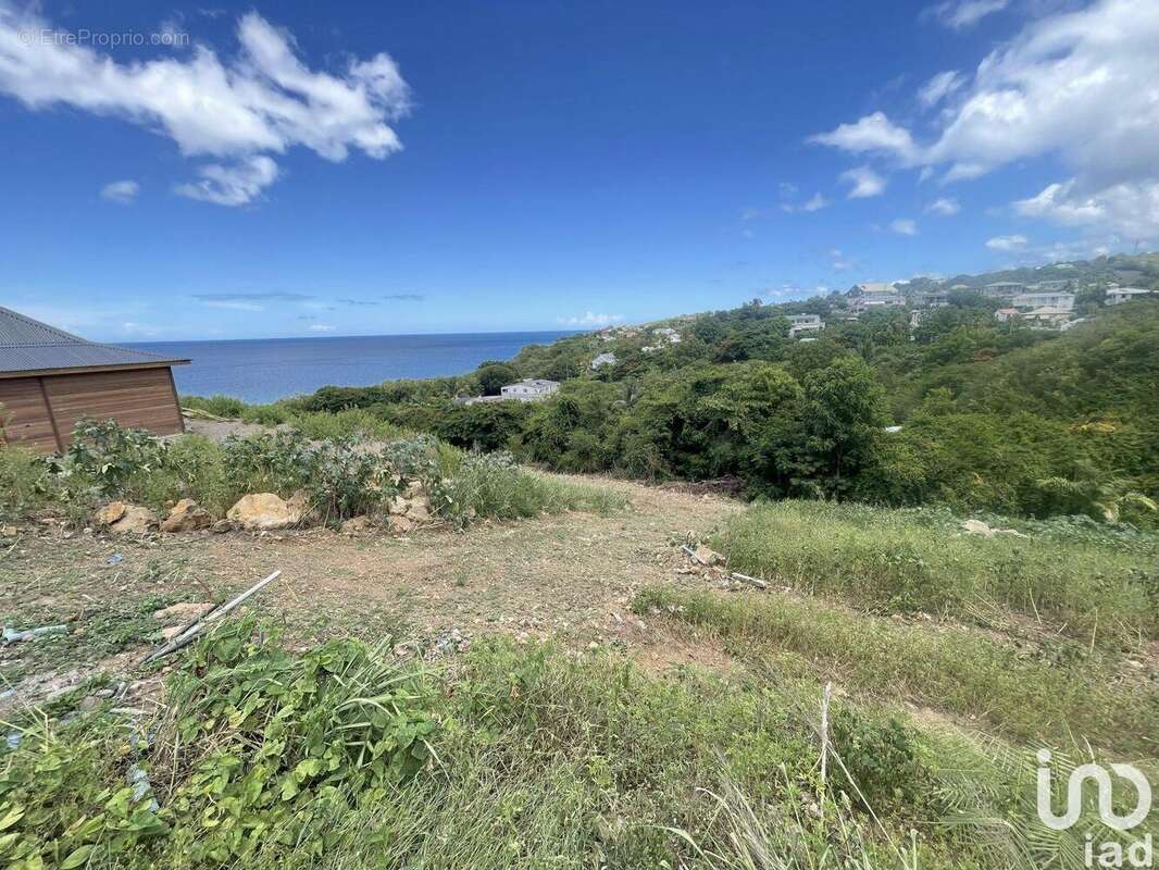 Photo 4 - Terrain à VIEUX-HABITANTS