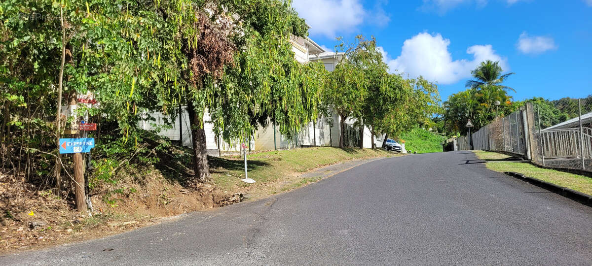 Terrain à LES ABYMES