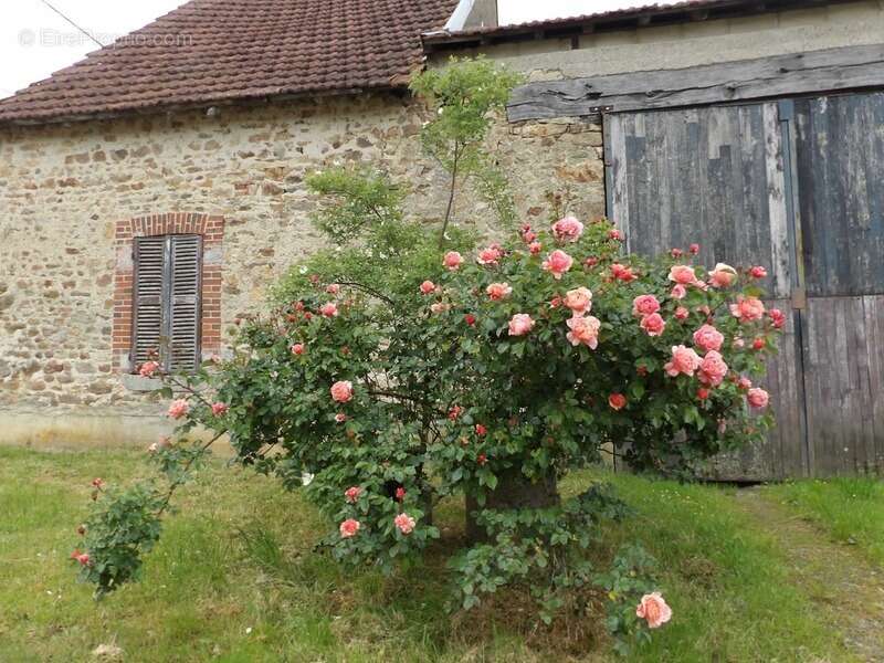 Maison à CHAMBON-SUR-VOUEIZE