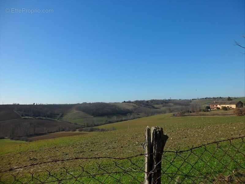 Château du XVII à proximité de Montauban - photo 18