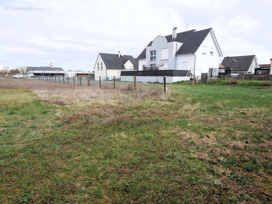 Terrain à HIRTZFELDEN