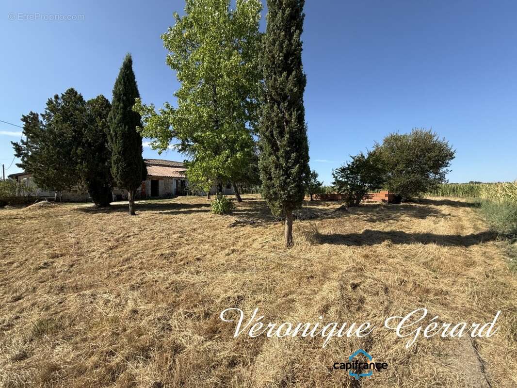 Ensemble immobilier de 300M² 11 pièces sur environ 2976 M² - photo 3