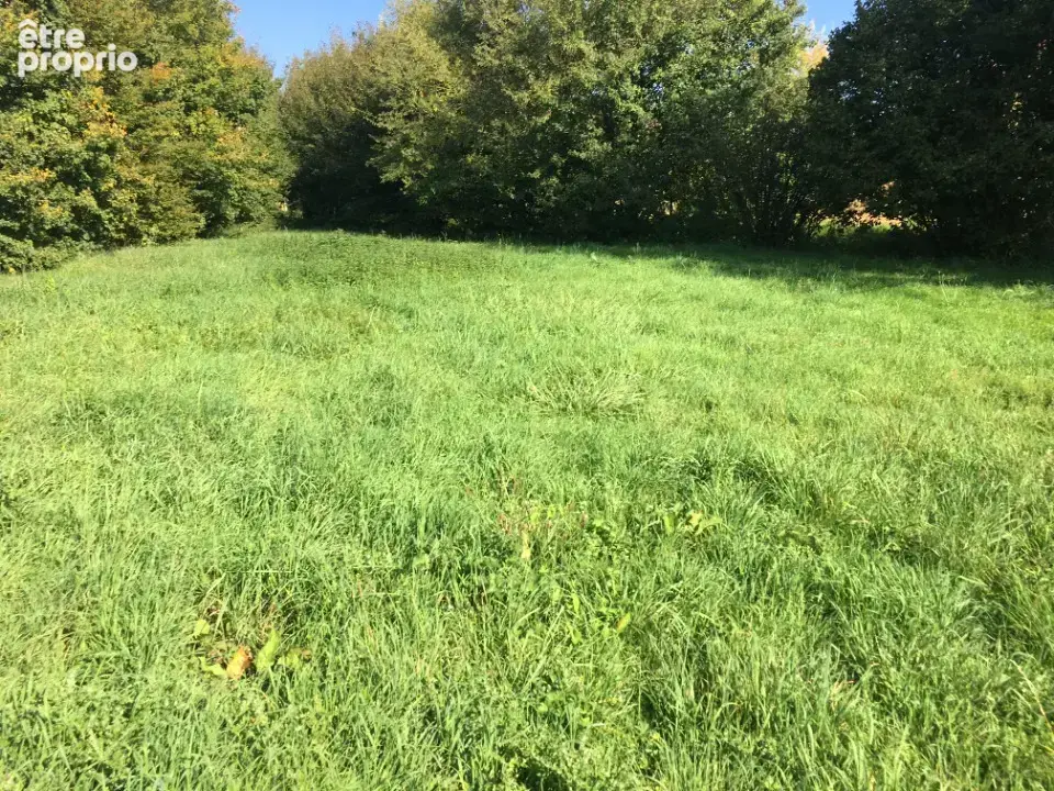 Photo Terrain à Saint-Cyr-Sur-Menthon au prix de 49 000€