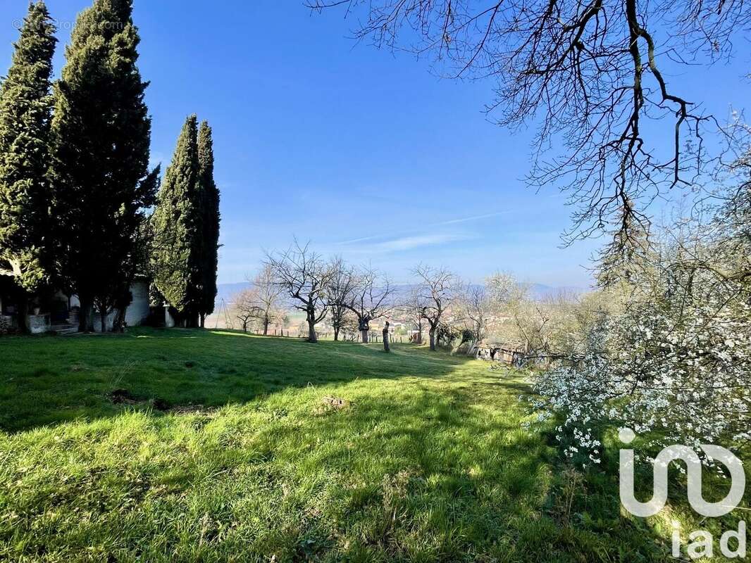 Photo 3 - Terrain à ASSIEU