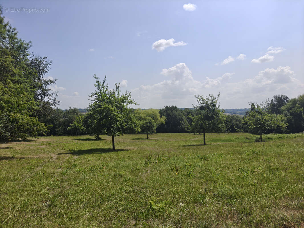 Authentique propriété normande sur environ 6 hectares/ havre de paix - photo 41