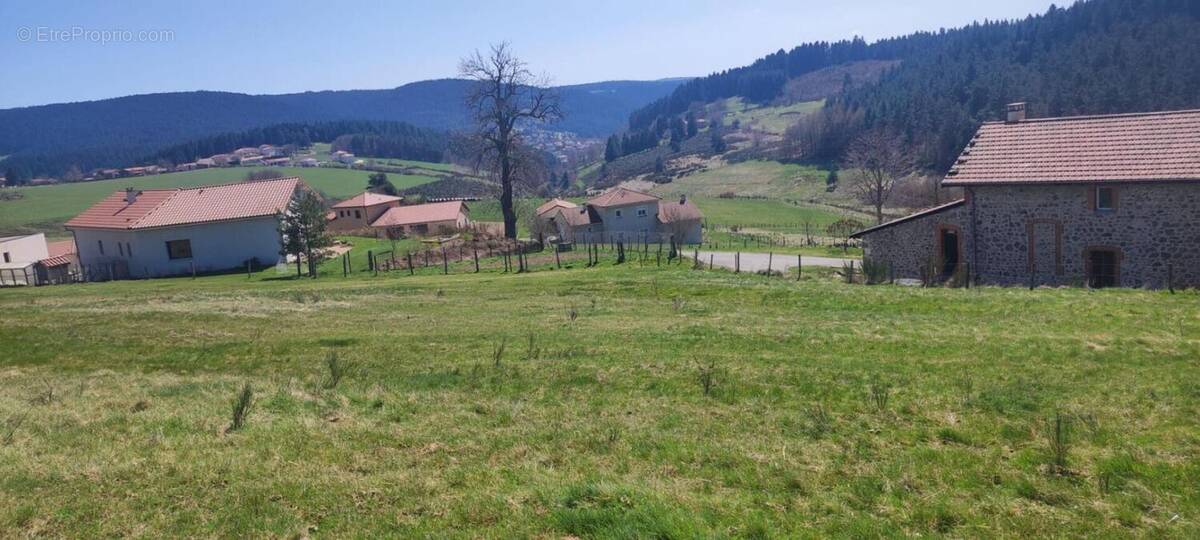 Terrain à RIOTORD