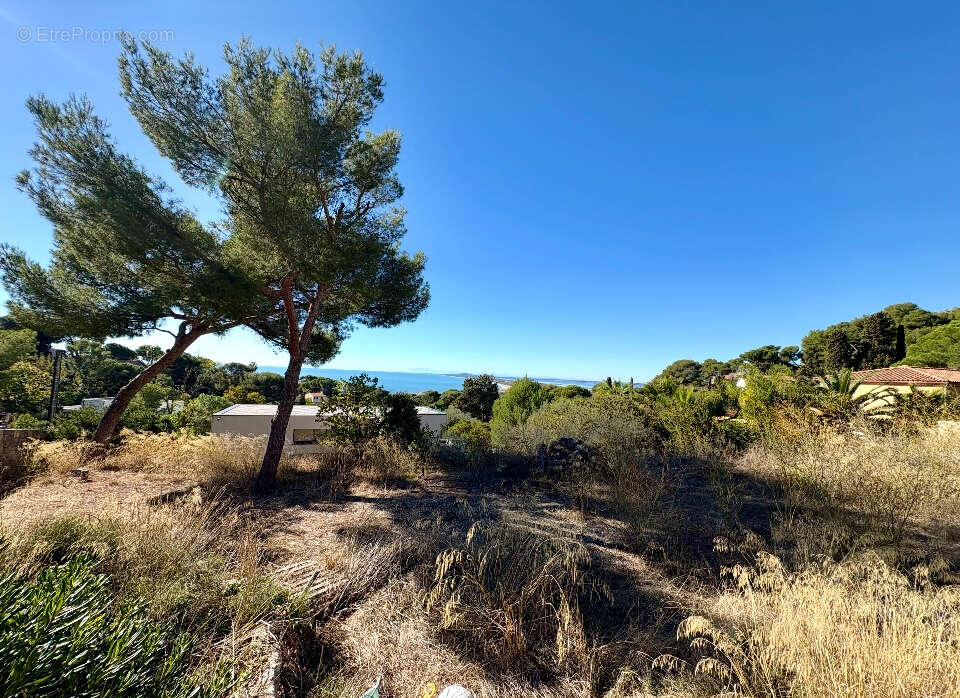 Terrain à SETE