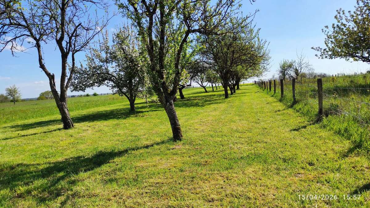 Terrain à SAINTE-MENEHOULD