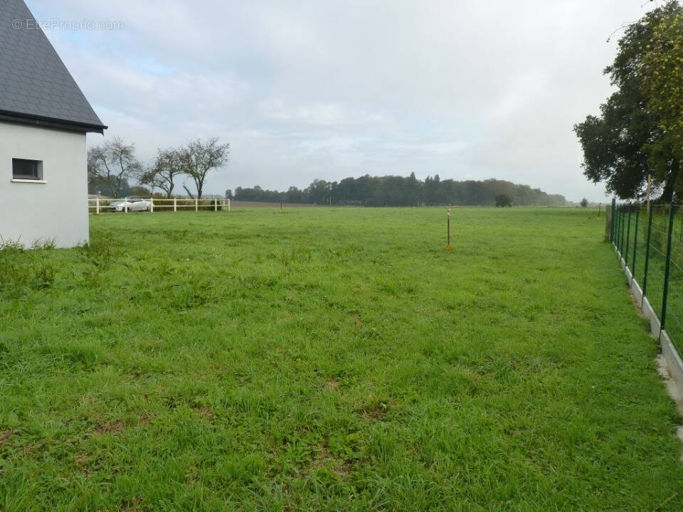 Terrain à SAINT-NICOLAS-DE-LA-HAIE