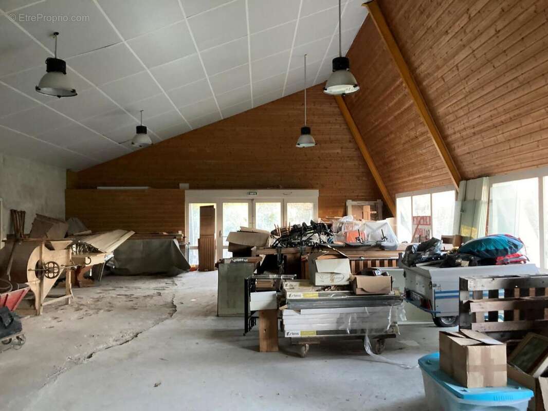 salle expot - Commerce à LUZECH