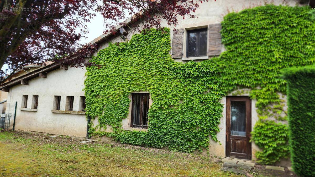 Commerce à AMBERIEUX-EN-DOMBES