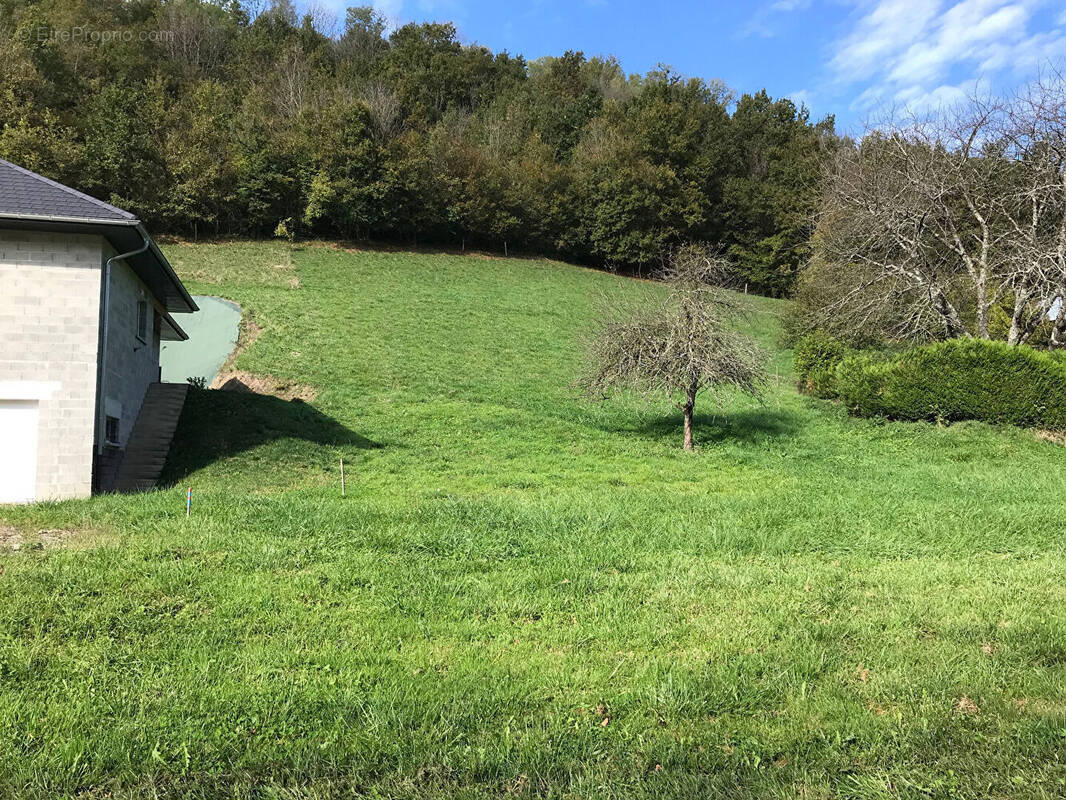 Terrain à LA TRINITE