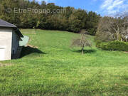 Terrain à LA TRINITE