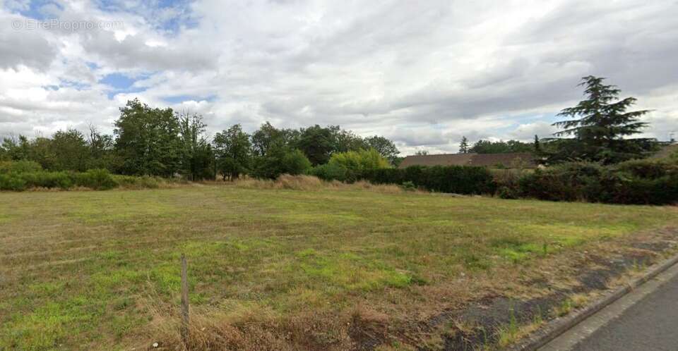 Terrain 478 m² à Montfort-Le-Gesnois  - photo 2