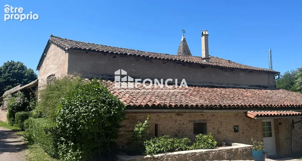 PAMPELONNE Propriété de caractère - photo 26