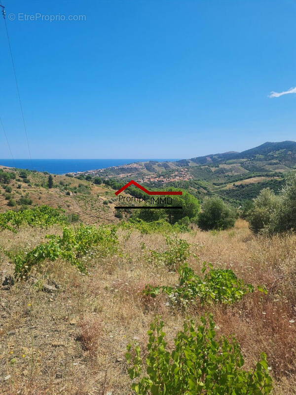Terrain à BANYULS-SUR-MER
