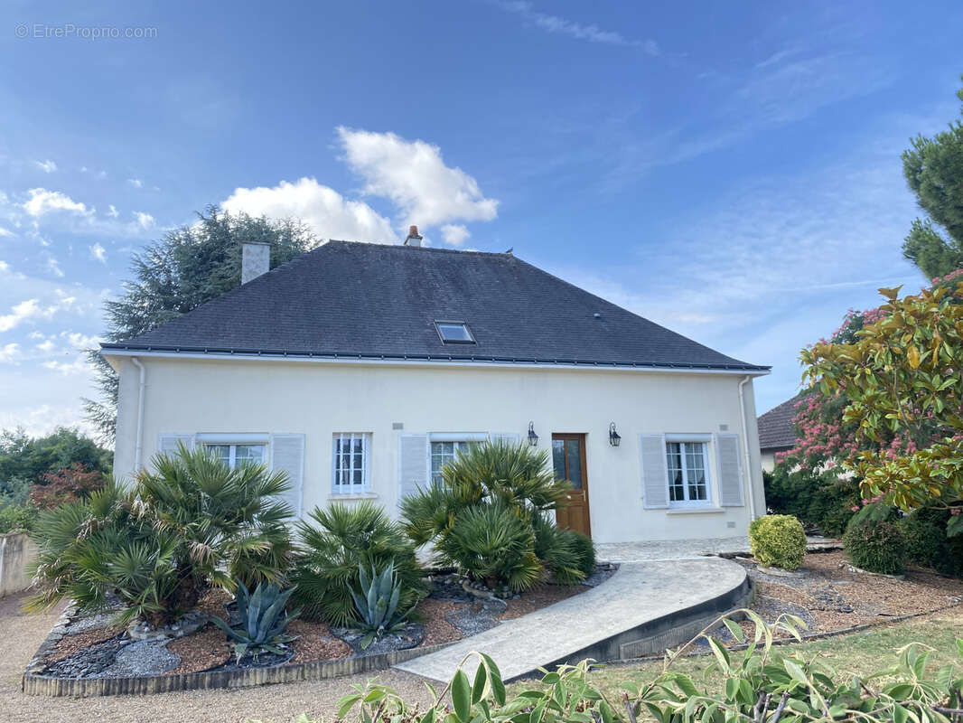 Maison à CHOUZE-SUR-LOIRE