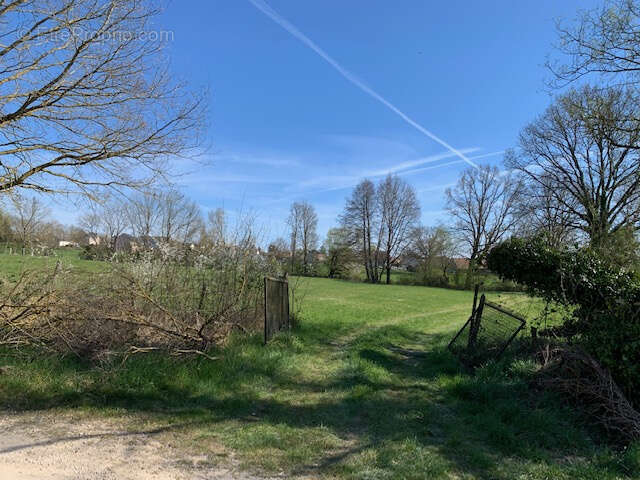 Terrain à XERMAMENIL