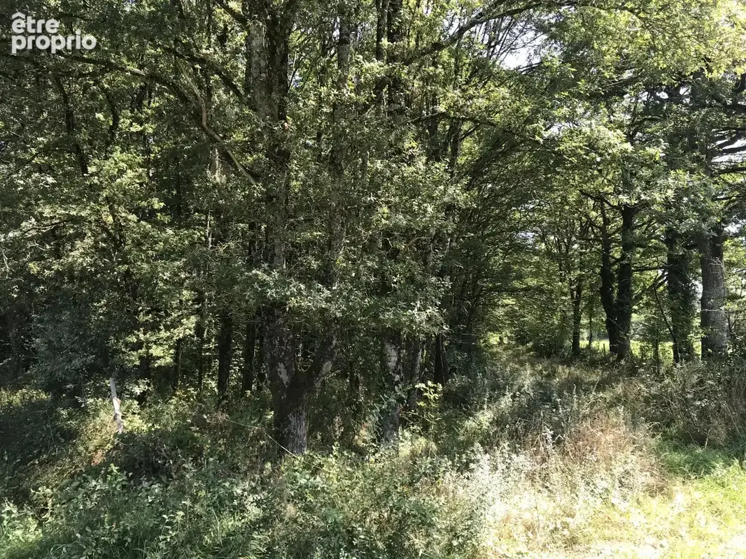 Ferme du début du  20ème siècle,  nombreuses dépendances, maison à rénover, piscine - photo 16