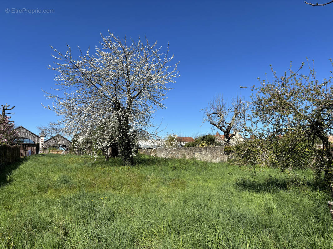 Terrain à LE PELLERIN