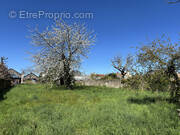 Terrain à LE PELLERIN