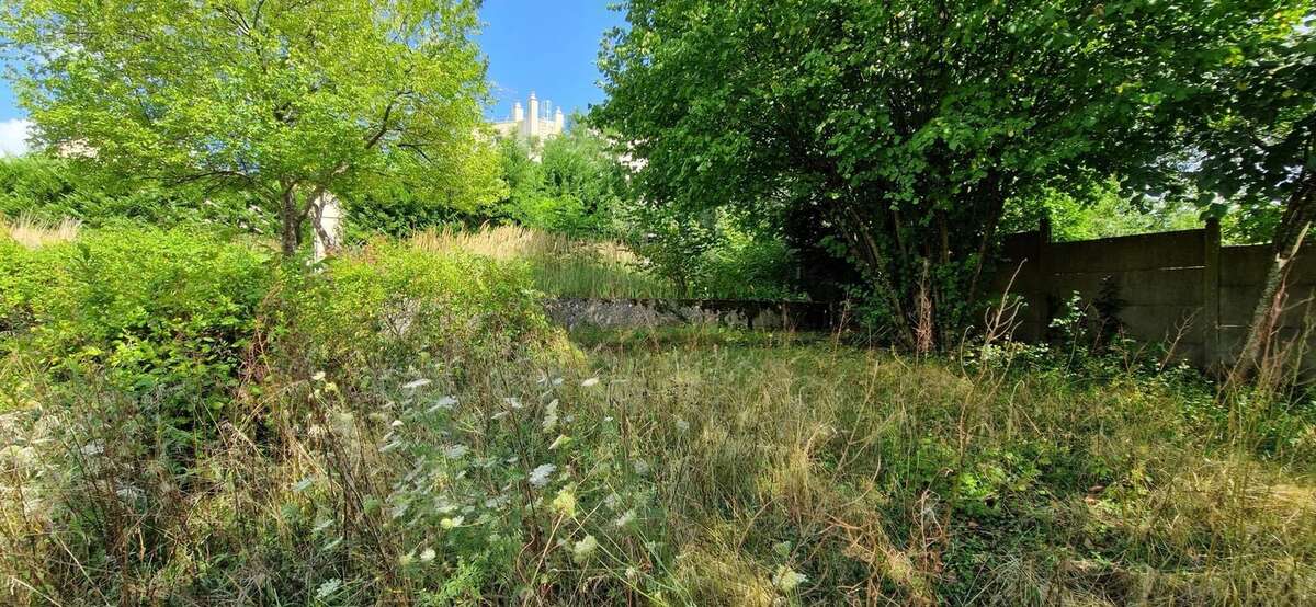 Exclusivite - champagne sur seine - photo 5