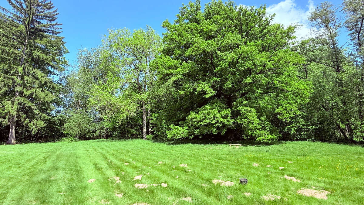 Maison à RAMBERVILLERS