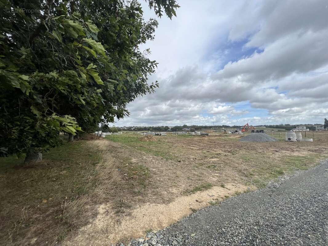 Terrain à CHATEAUGIRON