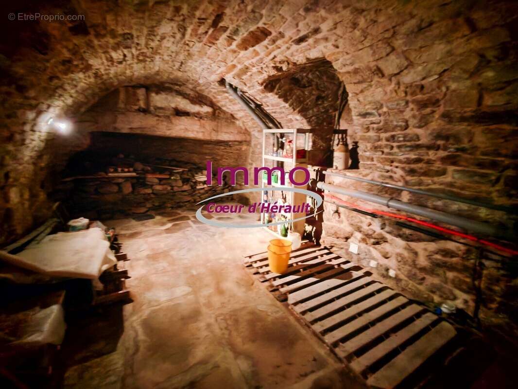 SAINT-PRIVAT : maison de village en pierres avec cave et terrasse - photo 11
