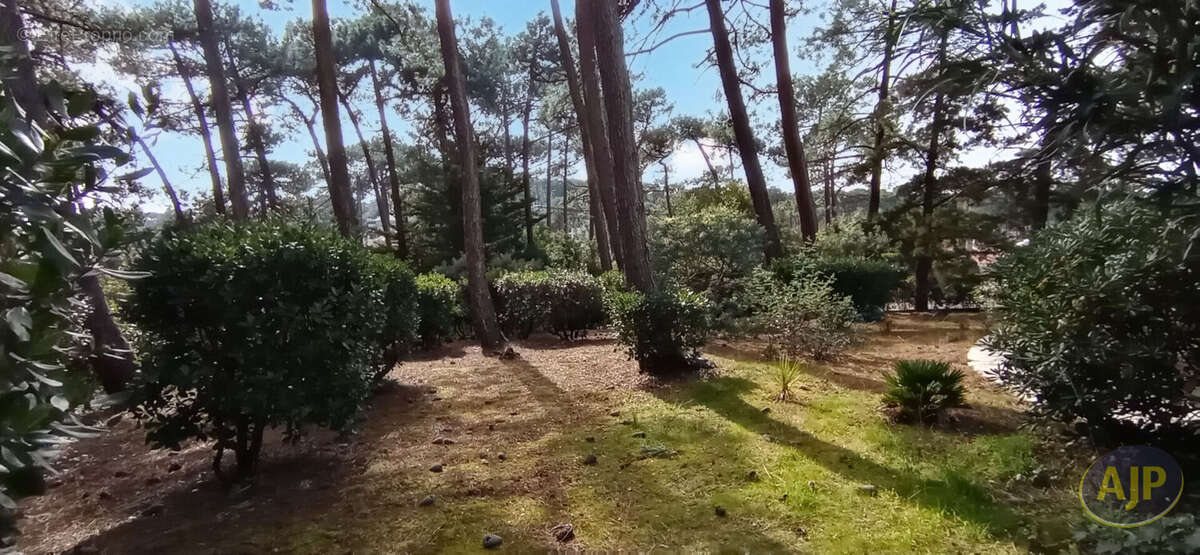 Maison à LEGE-CAP-FERRET