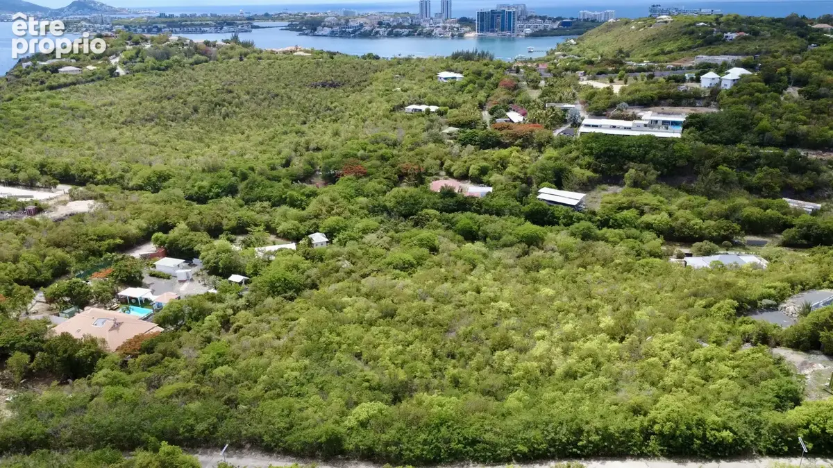Terrain 10 000 m2  terres basses, saint-martin - photo 3