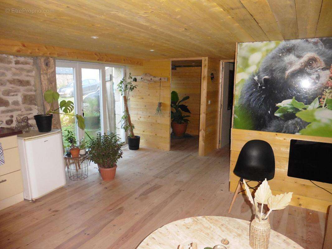 Maison à SAINT-THURIEN