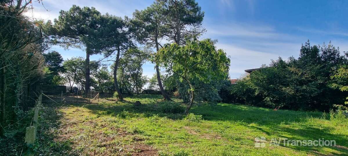 Terrain à SOUSTONS