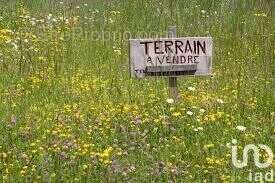 Photo 2 - Terrain à SAINT-MARTIN