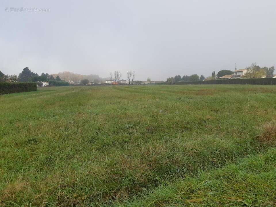 Terrain 540 m² à Nohic  - photo 3