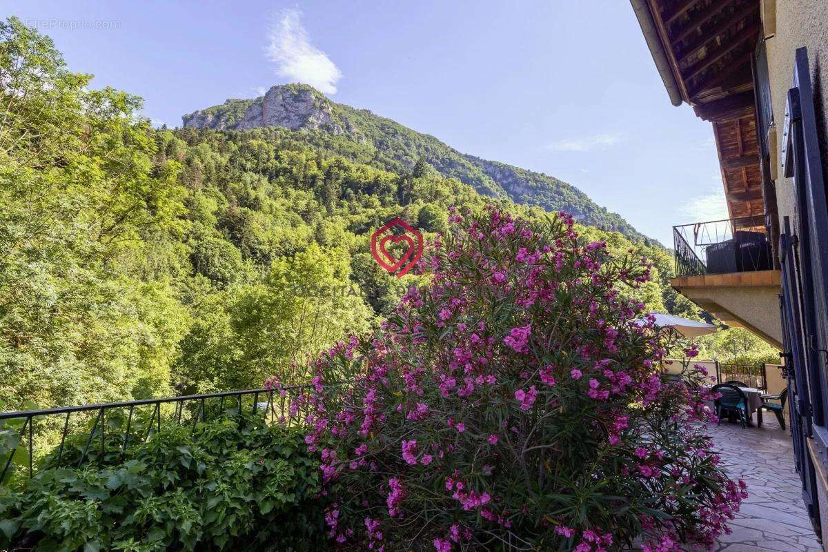 Maison avec gîte dans les Pyrénées Audoises - photo 5