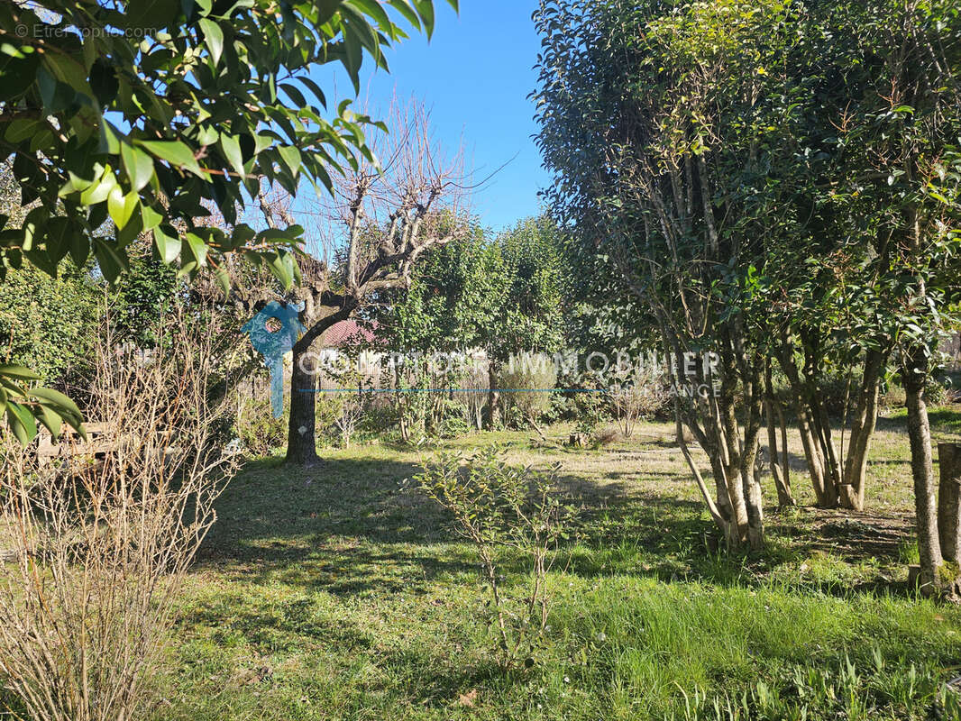 07 - chambonas - maison 125 m2  - sous sol avec appartement - 1600 m2 terrain - photo 3