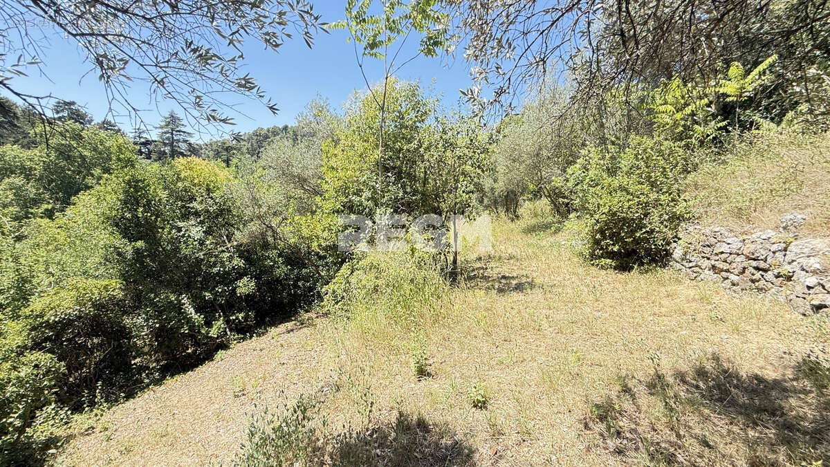 Maison 105 M2 avec mazets sur parcelle de 6000 M2 - photo 39