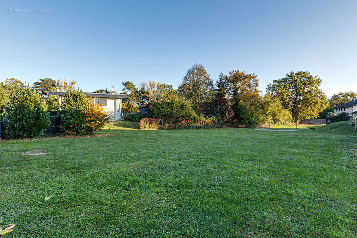 Terrain à EXCENEVEX