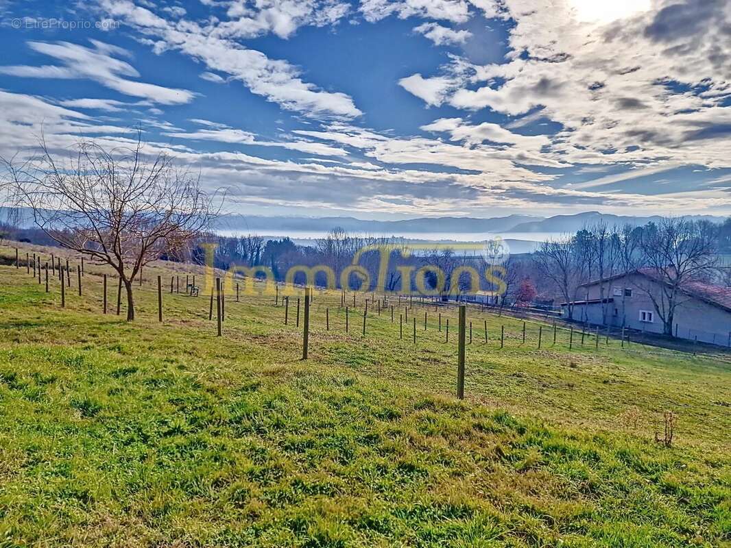Domaine avec vue panoramique, piscine, hébergements et environnement idéal pour chevaux et nature - photo 8