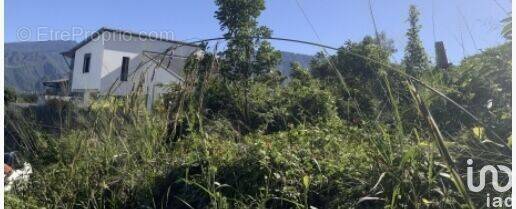 Photo 1 - Terrain à SAINT-PIERRE