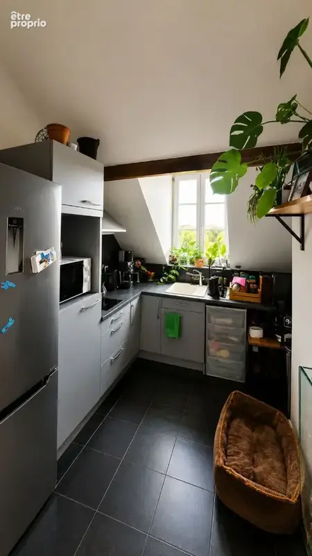 Appartement Chantilly 2 pièces 31 m2 - photo 2
