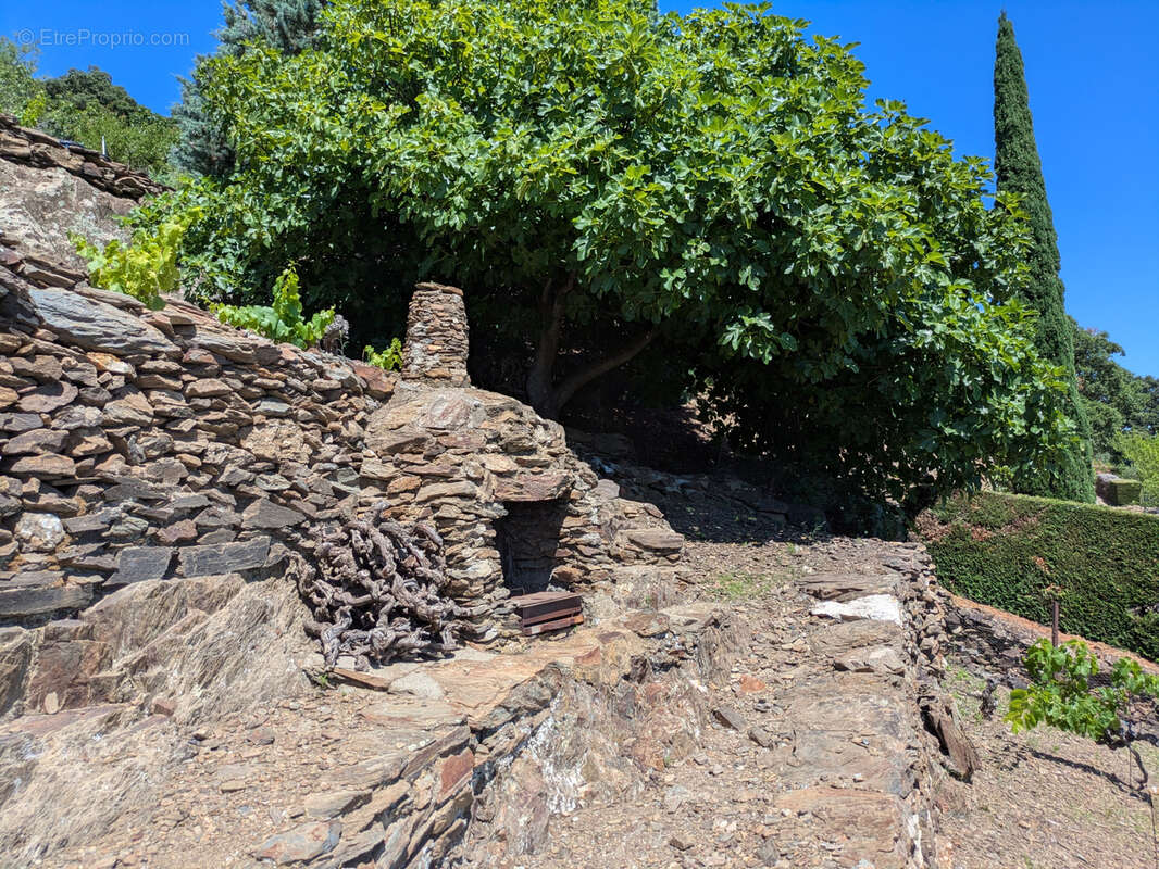 Terrain à COLLIOURE